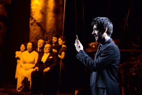 Yaban Ördeği — sahne fotoğrafı 8