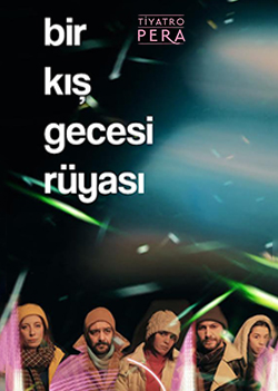 Bir Kış Gecesi Rüyası afişi